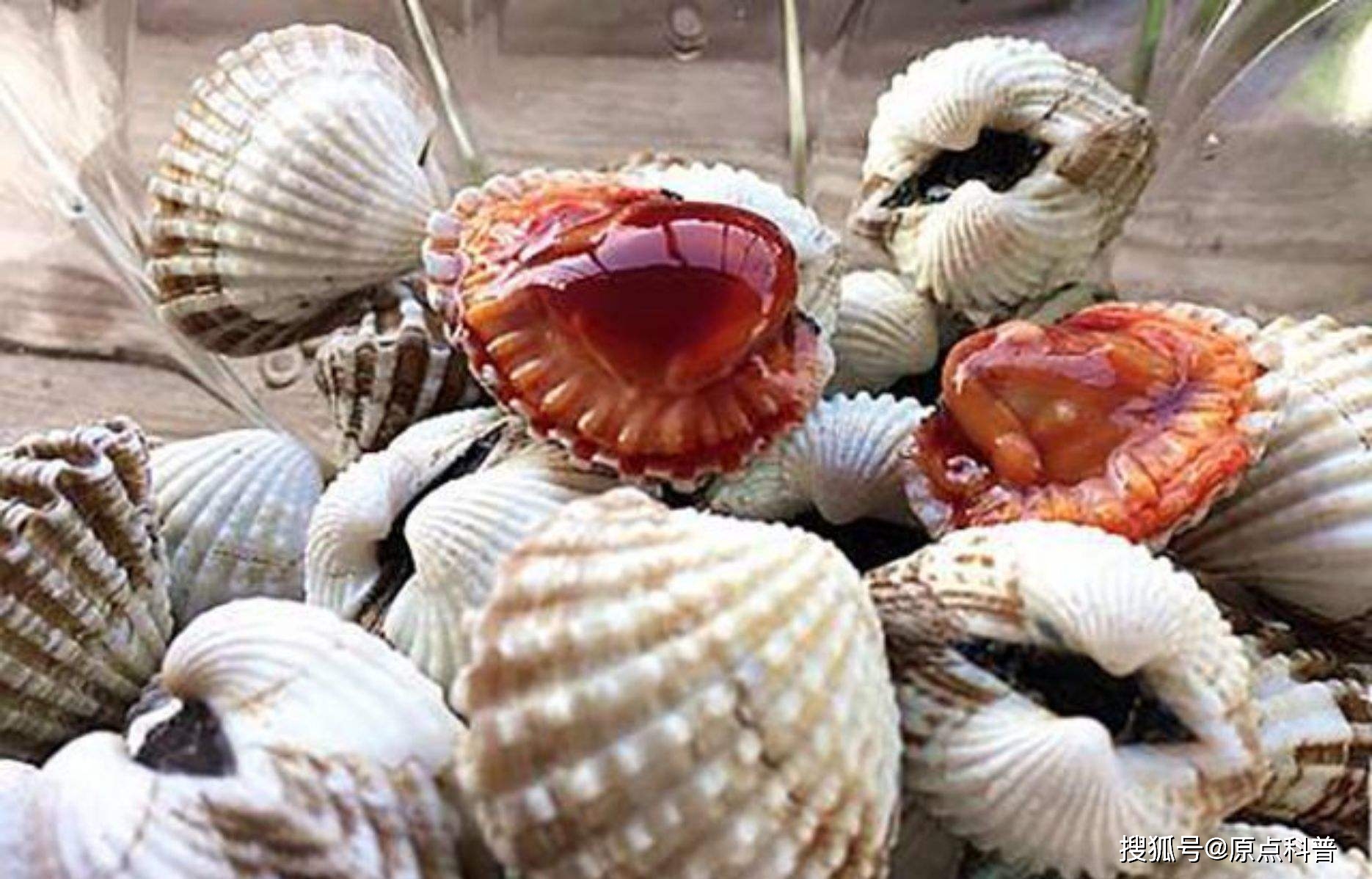 江苏黑暗料理排名_江苏特色黑暗料理盘点_黑暗料理排行榜前十名网红,