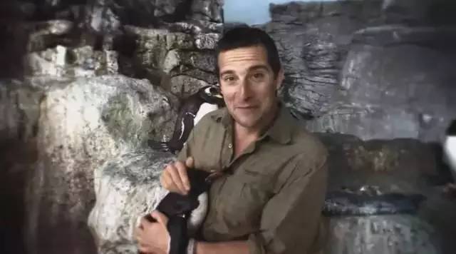 有个女明星叫张钧什么_张钧甯 逆袭 娱乐圈 扒卦